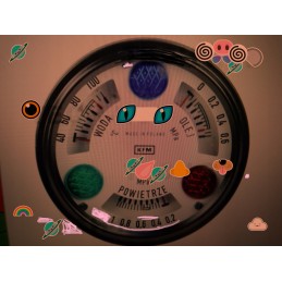 Vandens temperatūros laikrodis su indikatoriumi 328 50024762