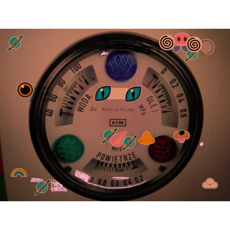 Vandens temperatūros laikrodis su indikatoriumi 328 50024762