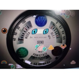 Vandens temperatūros laikrodis su indikatoriumi 328 50024762