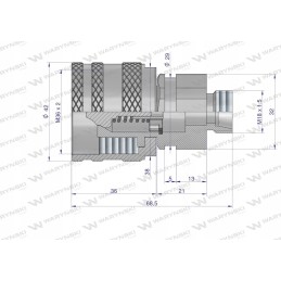 Prisukama greita jungtis, kištukas 18x1 5 300bar Warynski