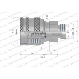 Prisukama greita jungtis, kištukas 22x1 5 300bar Warynski