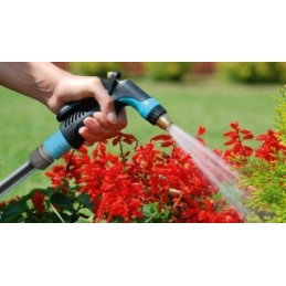 Pistoleto purkštuvas max idealus