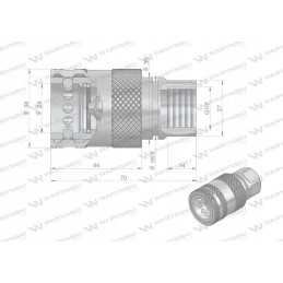 Hidraulinė greitoji jungtis, lizdas G1 2 BSP, sriegis