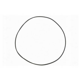 O-žiedo sandariklis