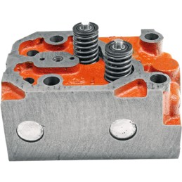 Variklio galvutė su zetor 5211 7745 vožtuvais