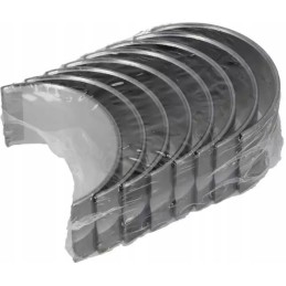 Mahle švaistiklio guolis 454 ps 20117 025