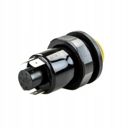 Valdymo jungiklis pakelti/nuleisti