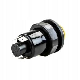 Valdymo jungiklis pakelti/nuleisti