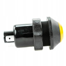 Valdymo jungiklis paleidimui