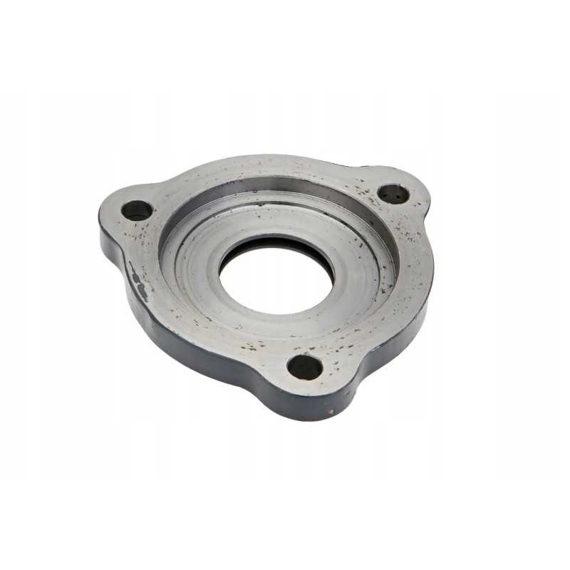 065071 01 guolių korpusas