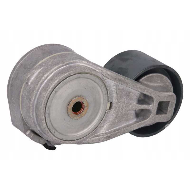 Dayco APV2719 serpantininis diržo įtempiklis