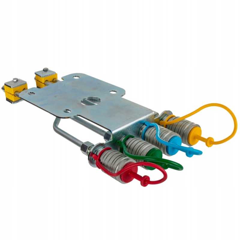 C 330 galinio lizdo atrama su 4 euro lizdais