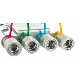 C 330 galinio lizdo atrama su 4 euro lizdais