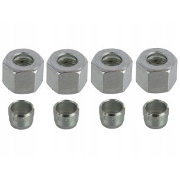 C 330 galinio lizdo atrama su 4 euro lizdais