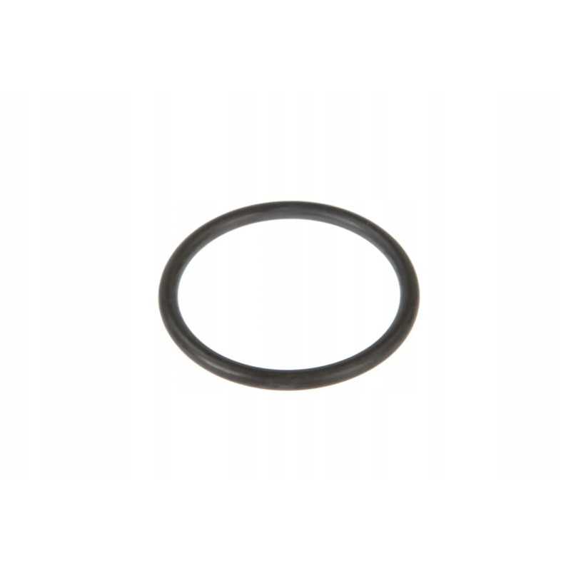 F312200710050 kuro siurblio sandarinimo žiedas