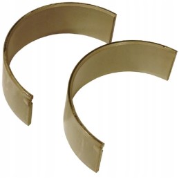 Pora švaistiklio guolių