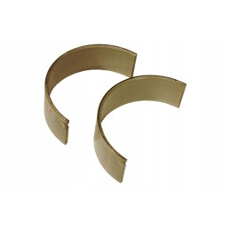 Pora švaistiklio guolių