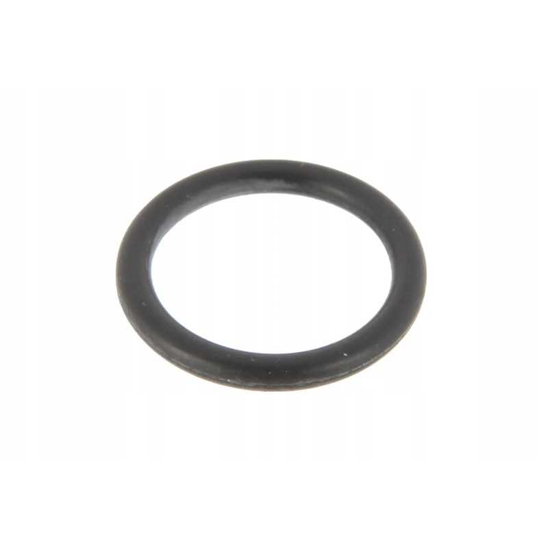 6005021550 O formos žiedas 10 x 1 5