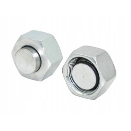 Hidraulinis kaištis M30x2 22l