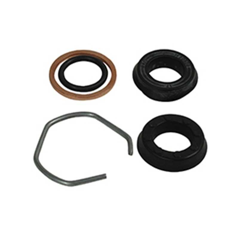 Deutz Fahr FTE stabdžių siurblio remonto komplektas