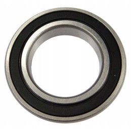 Guolis 6009 2rs