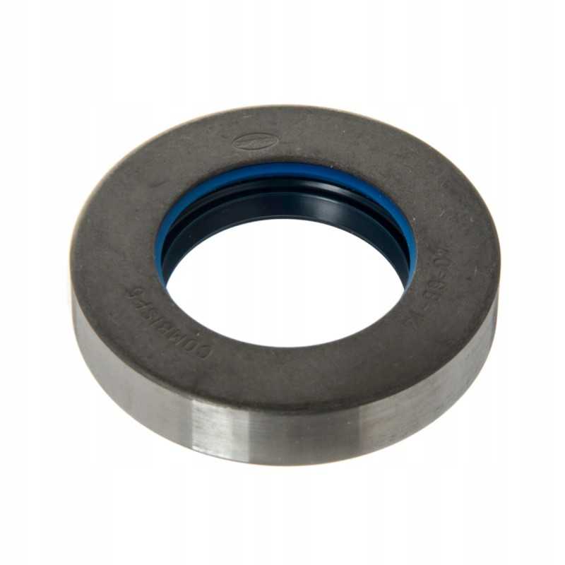 Landini mf ferguson priekinis polo sis sandariklis