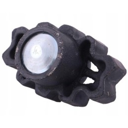 Wstrzasacz nustatė lenkiškus guolius Anna Warynski į 5