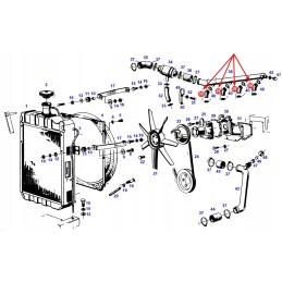 74706027 radiatoriaus žarna