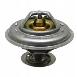 Termostatas 65mm 74715196 4224624m1 granitas