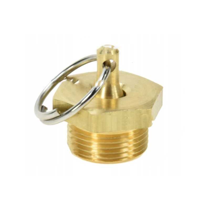 Išleidimo vožtuvas 83235904 69116839 standartinis gaminys