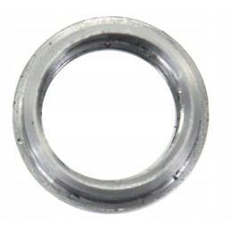 Liepsnos kištuko montavimo įvorė kolektoriaus