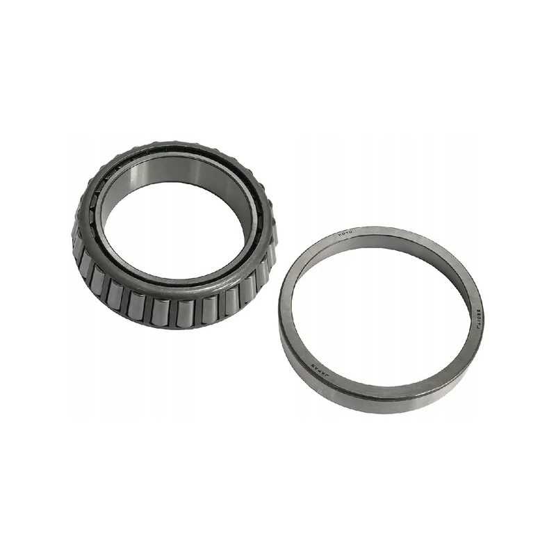 Polosi išorinis guolis